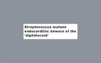 Streptococcus mutans 