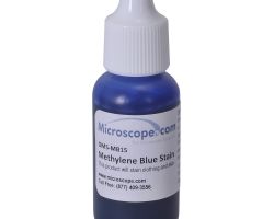 Methylene Blue stain