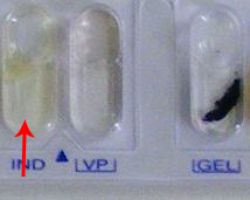 Indole test