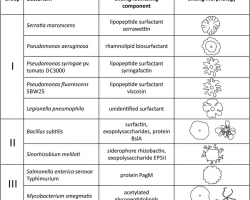 Motility